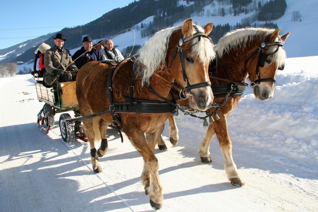 "Schoen-Urlauben" Grobming Kültér fotó
